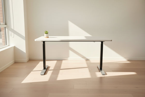 Sit Stand Desk White| Electric Desk