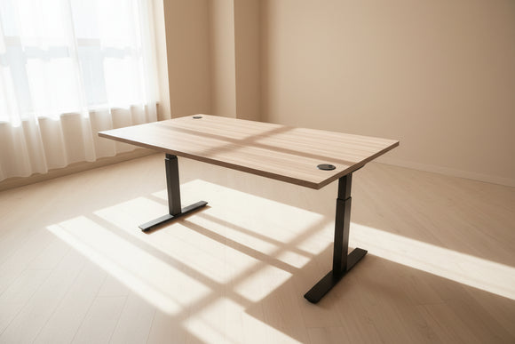 Sit Stand Desk Walnut | Electric Desk